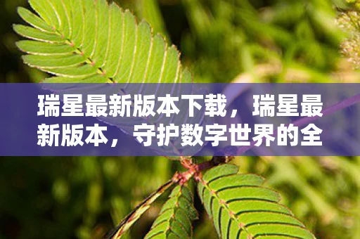 瑞星最新版本下载，瑞星最新版本，守护数字世界的全新力量