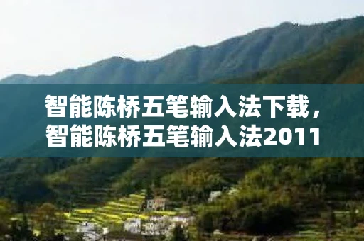 智能陈桥五笔输入法下载，智能陈桥五笔输入法2011版下载与体验