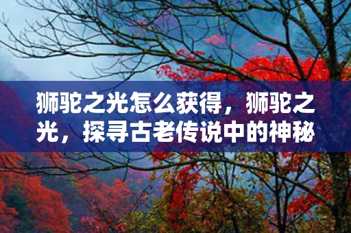 狮驼之光怎么获得，狮驼之光，探寻古老传说中的神秘王国