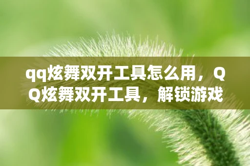qq炫舞双开工具怎么用，QQ炫舞双开工具，解锁游戏新体验，但需注意风险