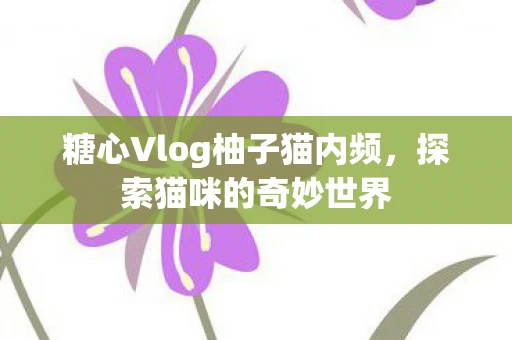 糖心Vlog柚子猫内频，探索猫咪的奇妙世界