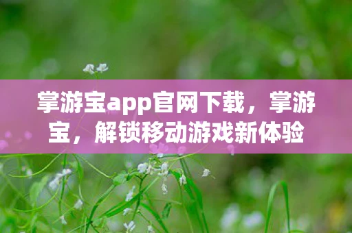 掌游宝app官网下载，掌游宝，解锁移动游戏新体验