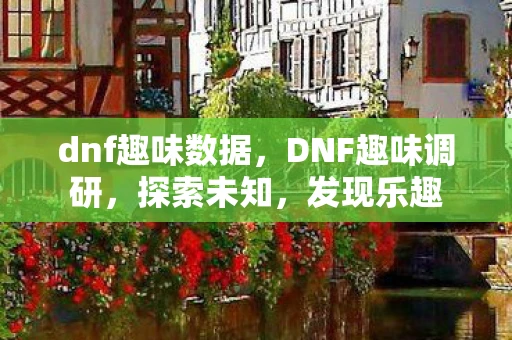 dnf趣味数据，DNF趣味调研，探索未知，发现乐趣