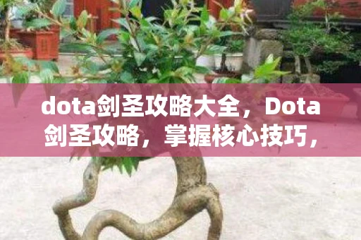 dota剑圣攻略大全，Dota剑圣攻略，掌握核心技巧，提升游戏胜率