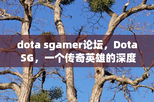 dota sgamer论坛，Dota SG，一个传奇英雄的深度解析