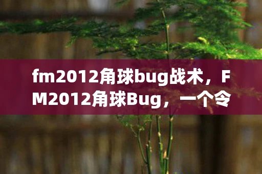 fm2012角球bug战术，FM2012角球Bug，一个令人头疼的足球经理难题