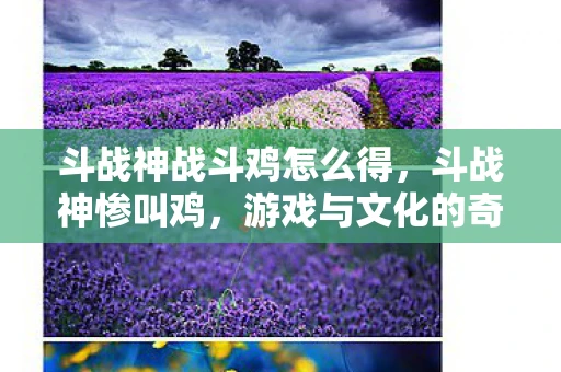 斗战神战斗鸡怎么得，斗战神惨叫鸡，游戏与文化的奇妙碰撞