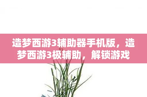 造梦西游3辅助器手机版，造梦西游3极辅助，解锁游戏新境界的必备神器