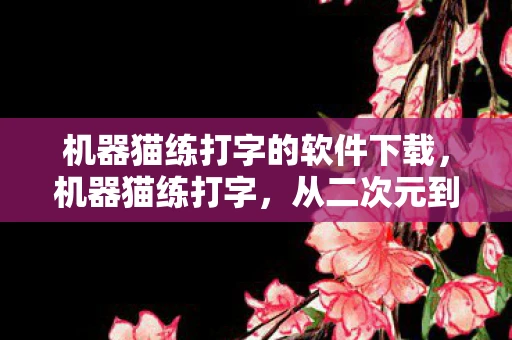 机器猫练打字的软件下载，机器猫练打字，从二次元到现实世界的打字革命