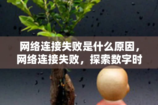 网络连接失败是什么原因，网络连接失败，探索数字时代的脆弱纽带