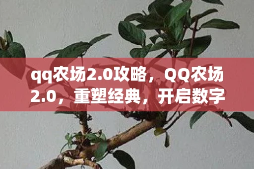 qq农场2.0攻略，QQ农场2.0，重塑经典，开启数字农业新篇章