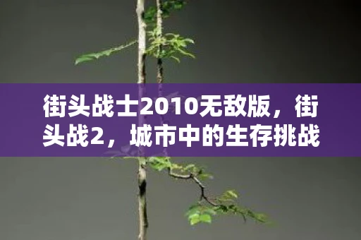 街头战士2010无敌版，街头战2，城市中的生存挑战