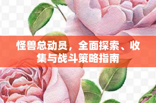 收集与战斗策略指南图片