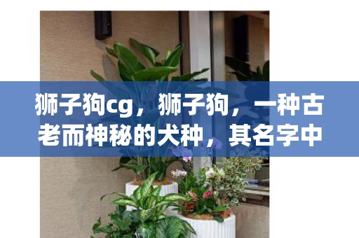 狮子狗cg，狮子狗，一种古老而神秘的犬种，其名字中蕴含着威严与优雅。它们不仅拥有令人惊叹的外貌，更具备独特的性格和非凡的智慧。今天，让我们一同走进狮子狗的世界，探索它们背后的故事与魅力