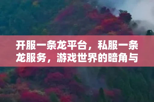 开服一条龙平台，私服一条龙服务，游戏世界的暗角与风险