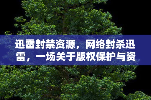 迅雷封禁资源，网络封杀迅雷，一场关于版权保护与资源分享的平衡博弈