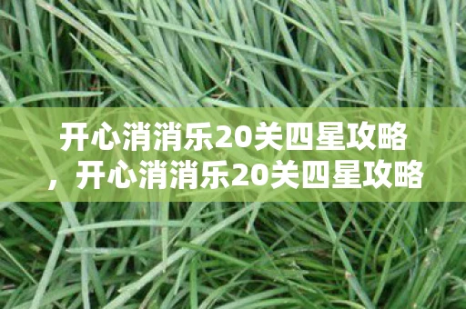 开心消消乐20关四星攻略，开心消消乐20关四星攻略