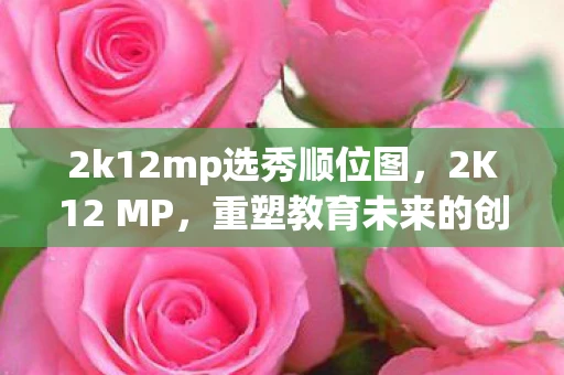 2k12mp选秀顺位图，2K12 MP，重塑教育未来的创新模式