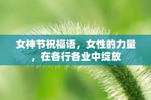 女神节祝福语，女性的力量，在各行各业中绽放
