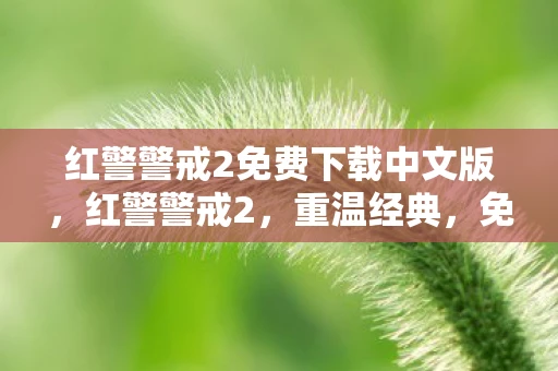 红警警戒2免费下载中文版，红警警戒2，重温经典，免费下载全攻略