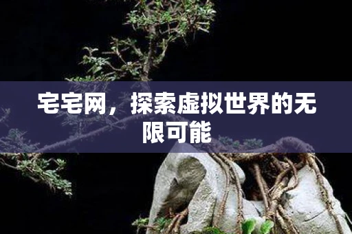 宅宅网，探索虚拟世界的无限可能