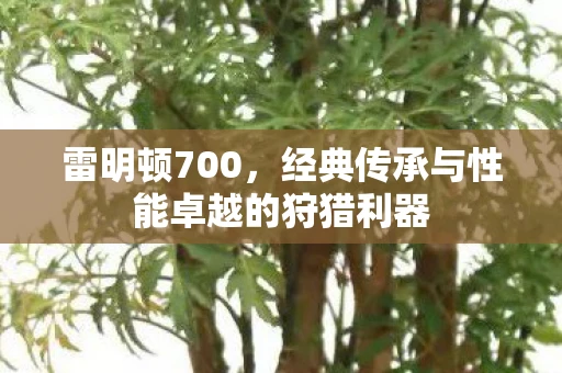 雷明顿700，经典传承与性能卓越的狩猎利器