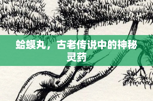 蛤蟆丸，古老传说中的神秘灵药