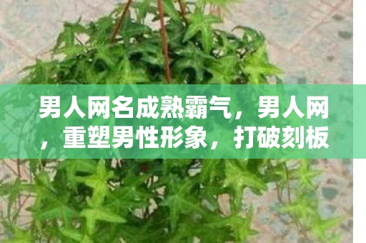 男人网名成熟霸气，男人网，重塑男性形象，打破刻板印象