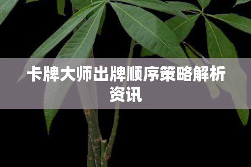 卡牌大师出牌顺序策略解析资讯图片