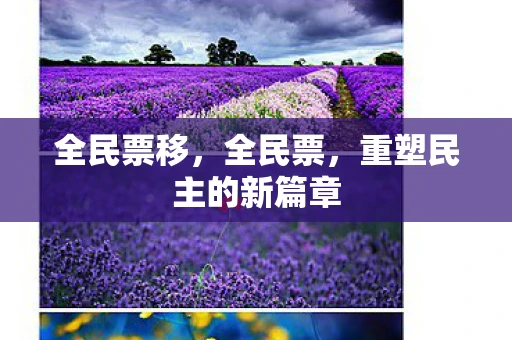 全民票移，全民票，重塑民主的新篇章
