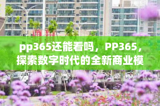 pp365还能看吗，PP365，探索数字时代的全新商业模式