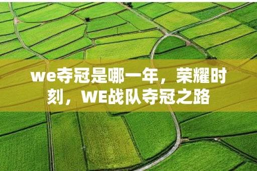we夺冠是哪一年，荣耀时刻，WE战队夺冠之路