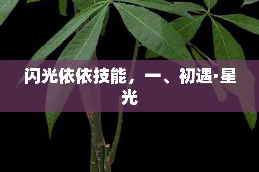 闪光依依技能，一、初遇·星光