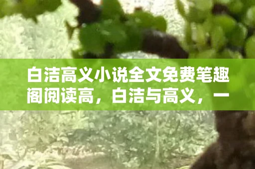 白洁高义小说全文免费笔趣阁阅读高，白洁与高义，一段跨越世俗的爱情传奇