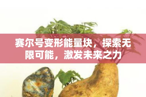 赛尔号变形能量块图片