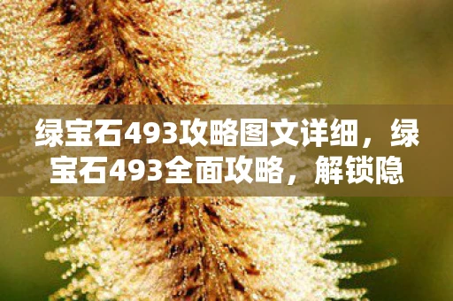 绿宝石493攻略图文详细，绿宝石493全面攻略，解锁隐藏宝藏与神秘挑战