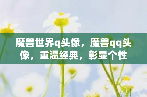 魔兽世界q头像，魔兽qq头像，重温经典，彰显个性