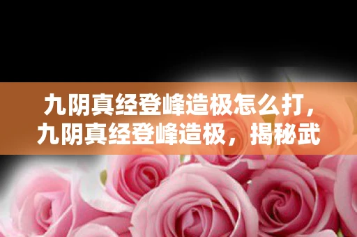 九阴真经登峰造极怎么打，九阴真经登峰造极，揭秘武侠世界的至高秘籍