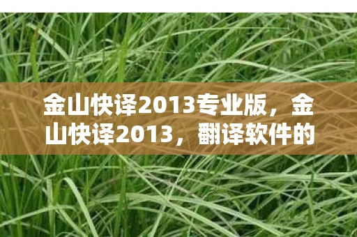 金山快译2013专业版，金山快译2013，翻译软件的革新与未来展望