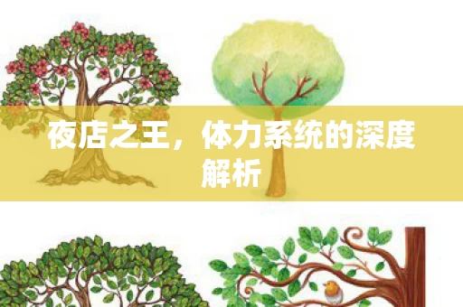 体力系统的深度解析图片