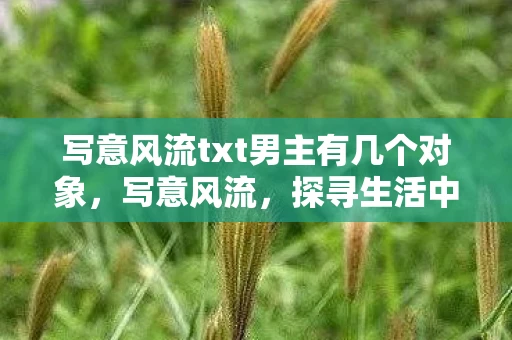 写意风流txt男主有几个对象，写意风流，探寻生活中的诗意与远方