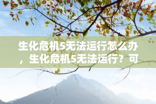 生化危机5无法运行怎么办，生化危机5无法运行？可能是这些原因导致的