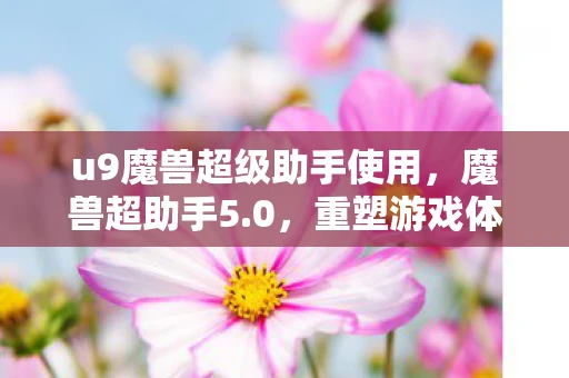 u9魔兽超级助手使用，魔兽超助手5.0，重塑游戏体验的革新工具