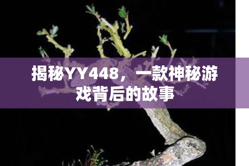 揭秘YY448，一款神秘游戏背后的故事