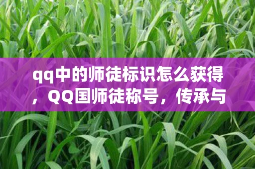 qq中的师徒标识怎么获得,QQ国师徒称号,传承与荣耀的符号 qq中的师徒标识怎么获得,QQ国师徒称号,传承与荣耀的符号