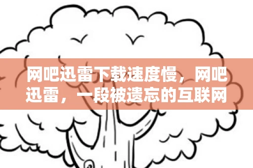 网吧迅雷下载速度慢，网吧迅雷，一段被遗忘的互联网记忆