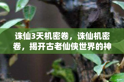 诛仙3天机密卷，诛仙机密卷，揭开古老仙侠世界的神秘面纱