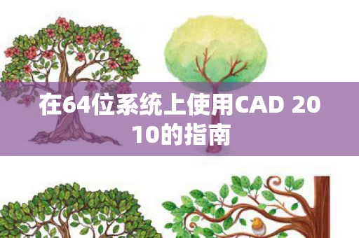 在64位系统上使用CAD 2010的指南图片