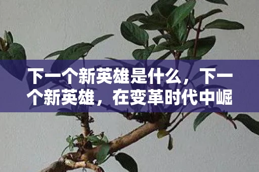 下一个新英雄是什么，下一个新英雄，在变革时代中崛起