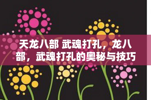 天龙八部 武魂打孔，龙八部，武魂打孔的奥秘与技巧